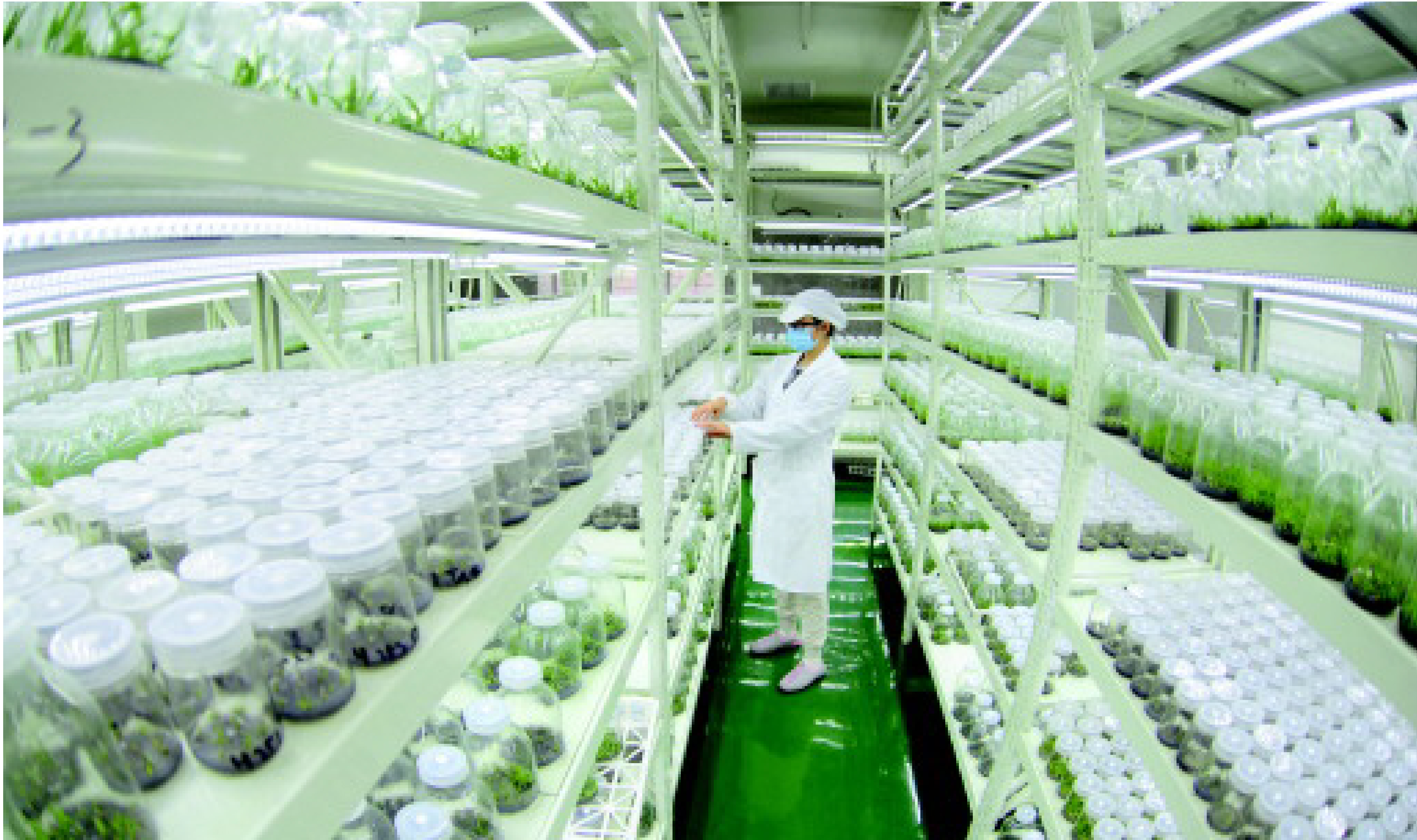 微信图片_20191119135303